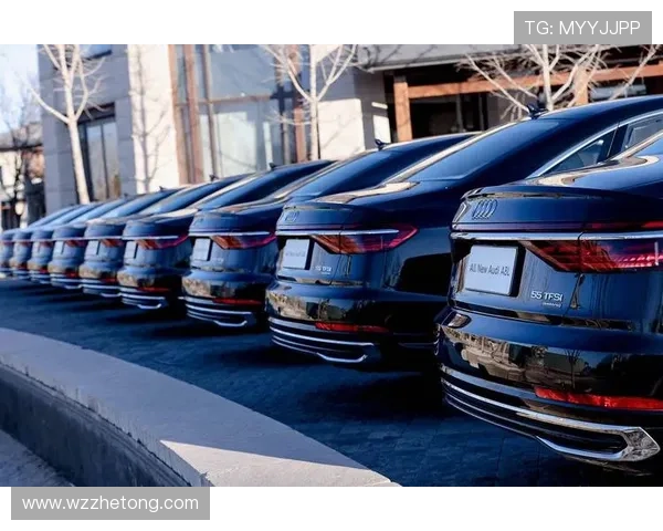 网坛新赛季风云再起名将复出新星崛起引发全球关注巅峰对决格局重塑